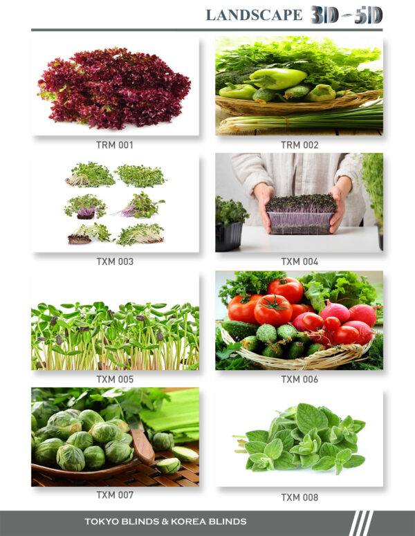 Rèm Cuốn In Tranh chủ đề: Rau mầm - Ảnh 5