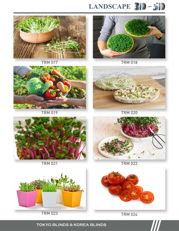 Rèm Cuốn In Tranh chủ đề: Rau mầm - Ảnh 3